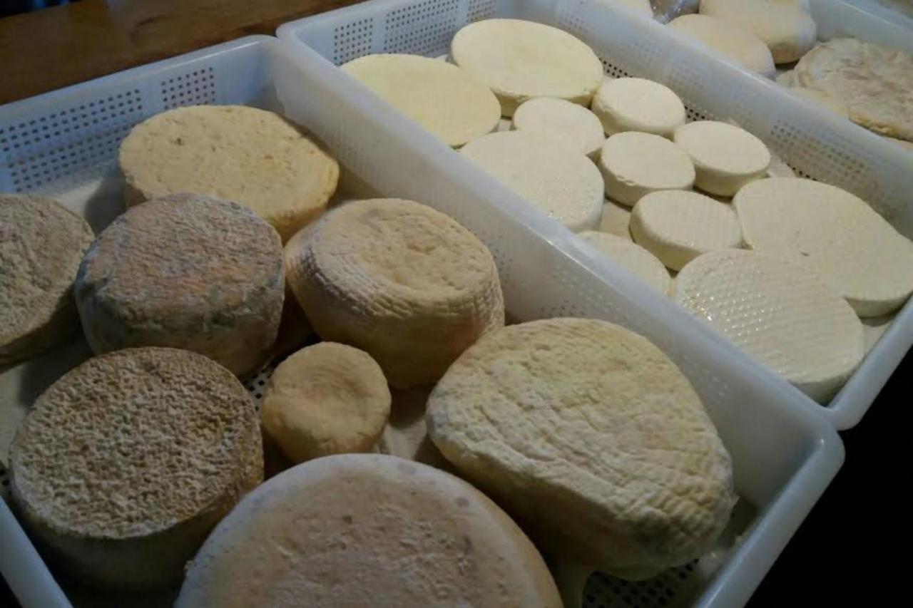 Agriturismo Di Charme E Ristorante Stallato Il Filo Di Paglia Carro المظهر الخارجي الصورة