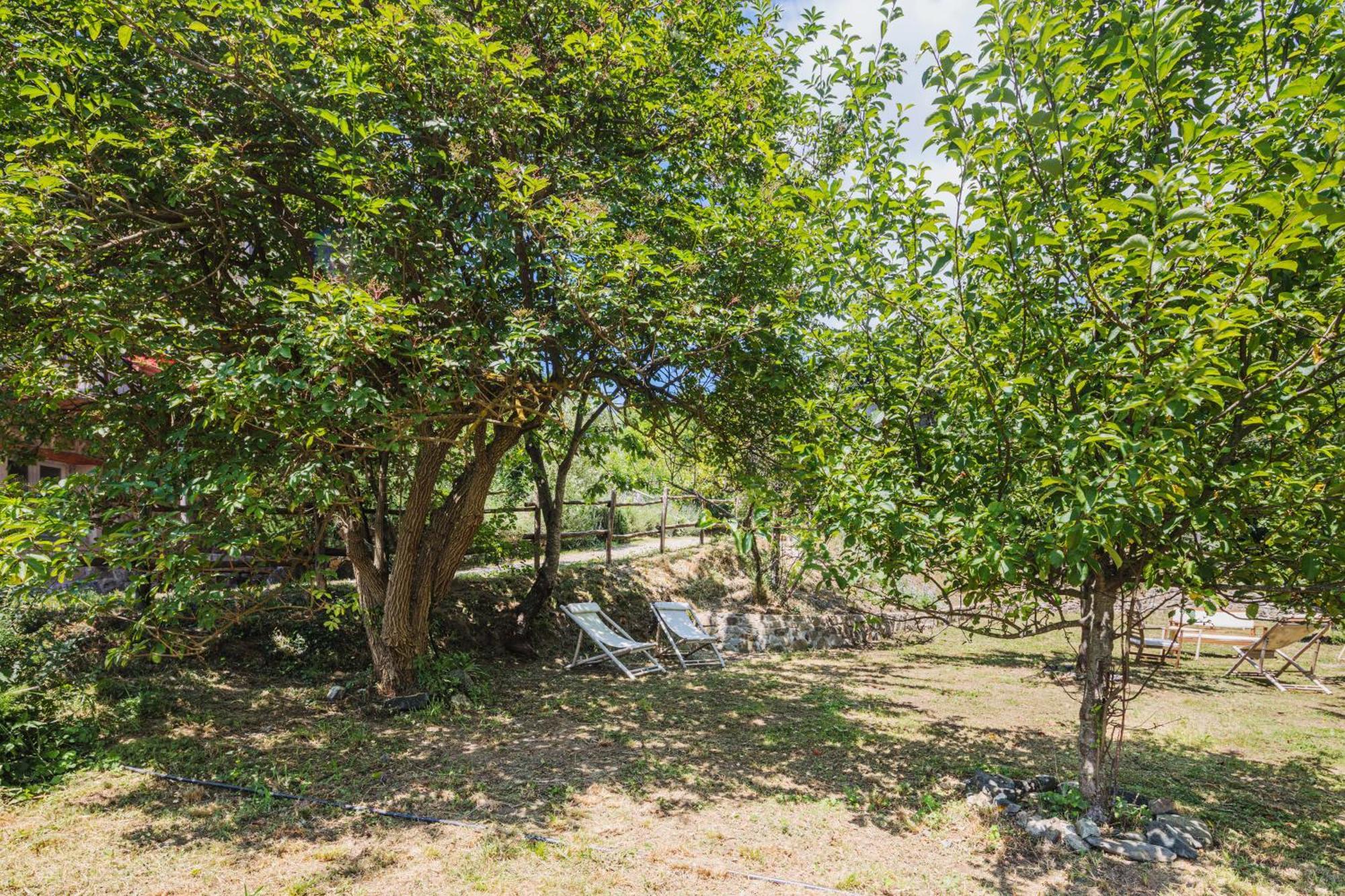 Agriturismo Di Charme E Ristorante Stallato Il Filo Di Paglia Carro المظهر الخارجي الصورة